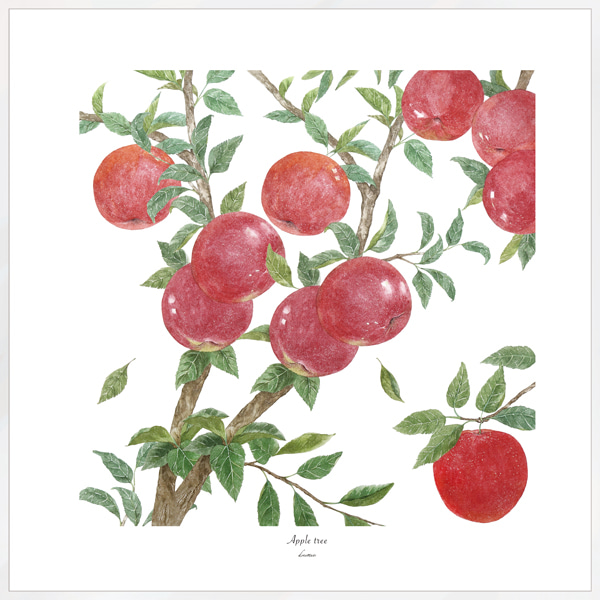 사과그림, 사과액자, 빨간사과그림